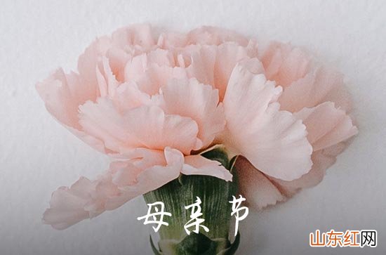 母亲节给妈妈发多少红包合适