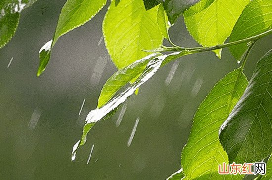2023年武汉6月份出梅了吗 武汉梅雨季节有多久