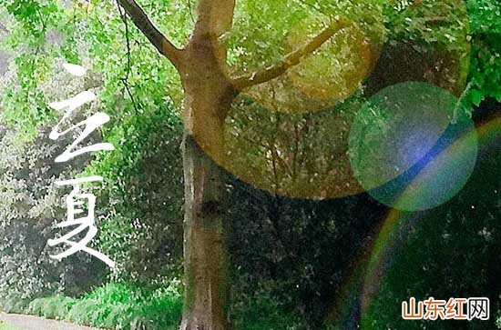 2023年立夏是什么时候 今年立夏是几月几日几点