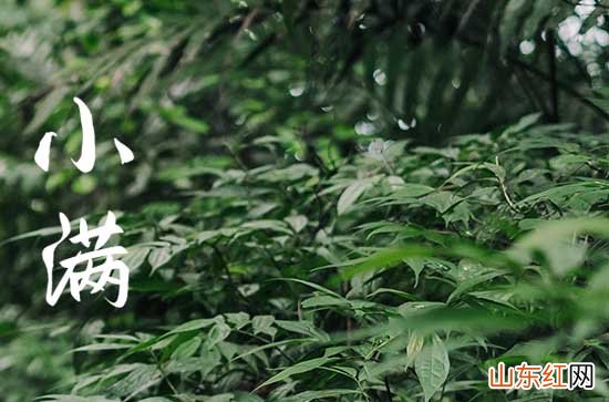 二十字节气小满经典说说 2023小满节气快乐正能量祝福语