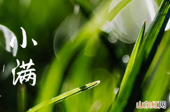 2023年小满是几点几分几秒2023小满是哪一天什么时间