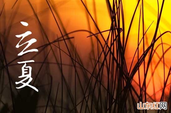 夏天来了的优美句子简短 夏天来了的优美句子简短
