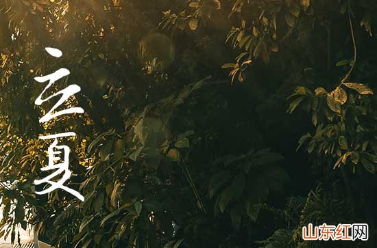 今年立夏是几月几日2023 2023立夏具体时间是几点几分几秒