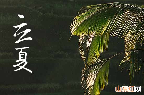 2023年立夏吃夏饼的由来 夏饼和什么可以搭配最好吃