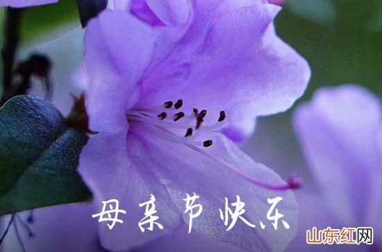 2023最新母亲节祝福语大全短句80句 2023母亲节心情说说80句