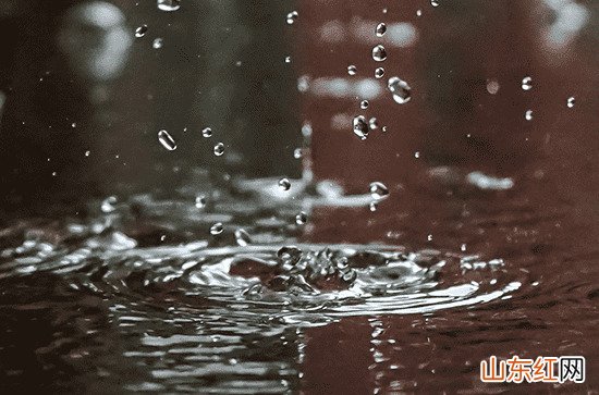 北京6日春雨再上线出门记得带伞 北风较大阵风可达7级