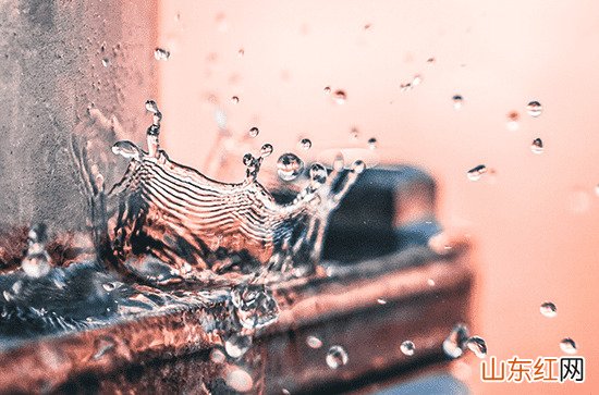 2023谷雨能不能种玉米 2023年谷雨是几月几日几时几秒