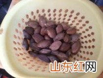 花甲可以做汤吗 教你花甲做汤的简单方法