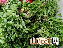 荠菜做法 荠菜鸡蛋饼的简单做法